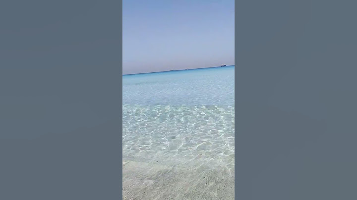 مالديف البيطاش شاطئ عجميستا اسكندرية