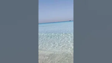 مالديف البيطاش شاطئ عجميستا اسكندرية 