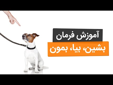تصویری: نحوه آموزش دادن سگ به پنجه