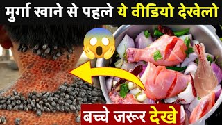 ? मुर्गा खाने से पहले ये वीडियो देखेलो | Chicken Ke Bare Mein Jankari