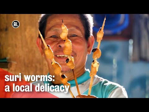 Video: Is larven een worm?