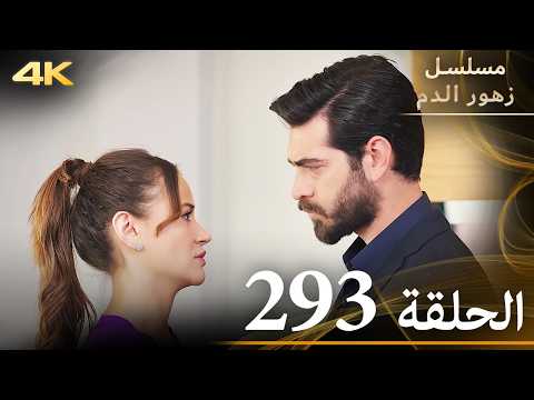 الحلقة 293 مسلسل زهور الدم مدبلج بالعربية Kan Çiçekleri جودة 4K