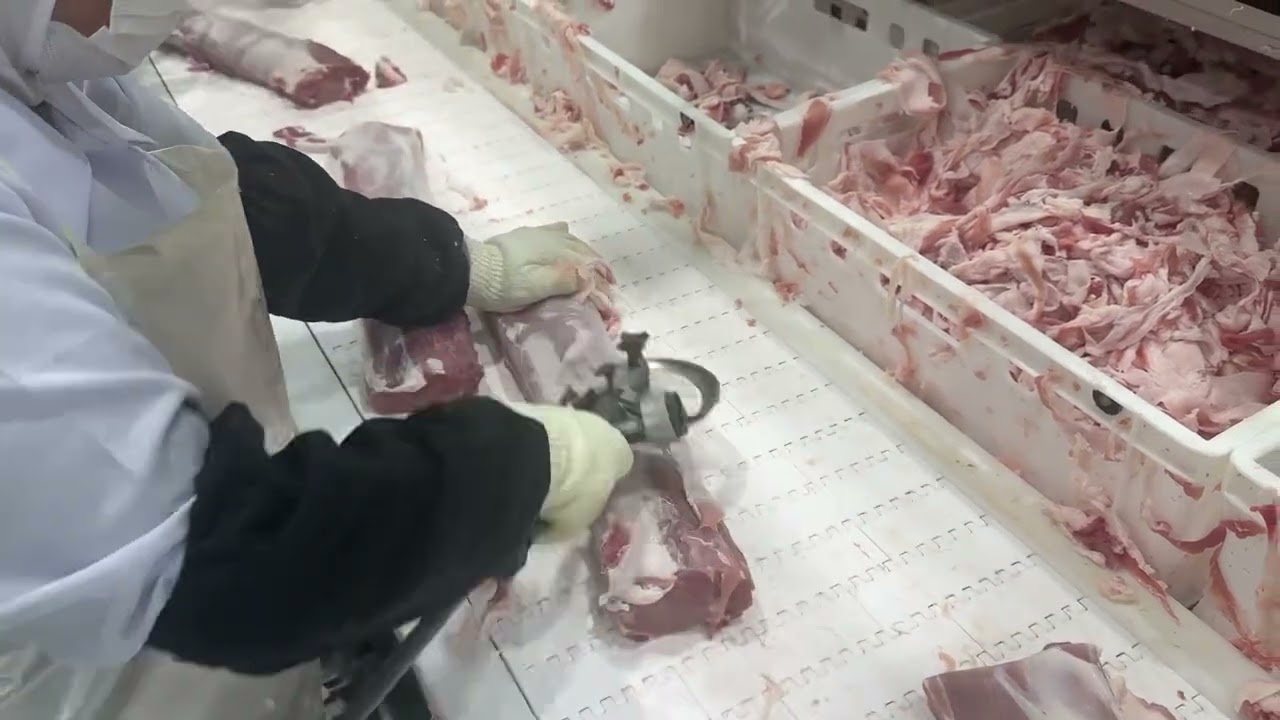 배쳐 x1300 트리머 - 등심 지방 정형 2대사용