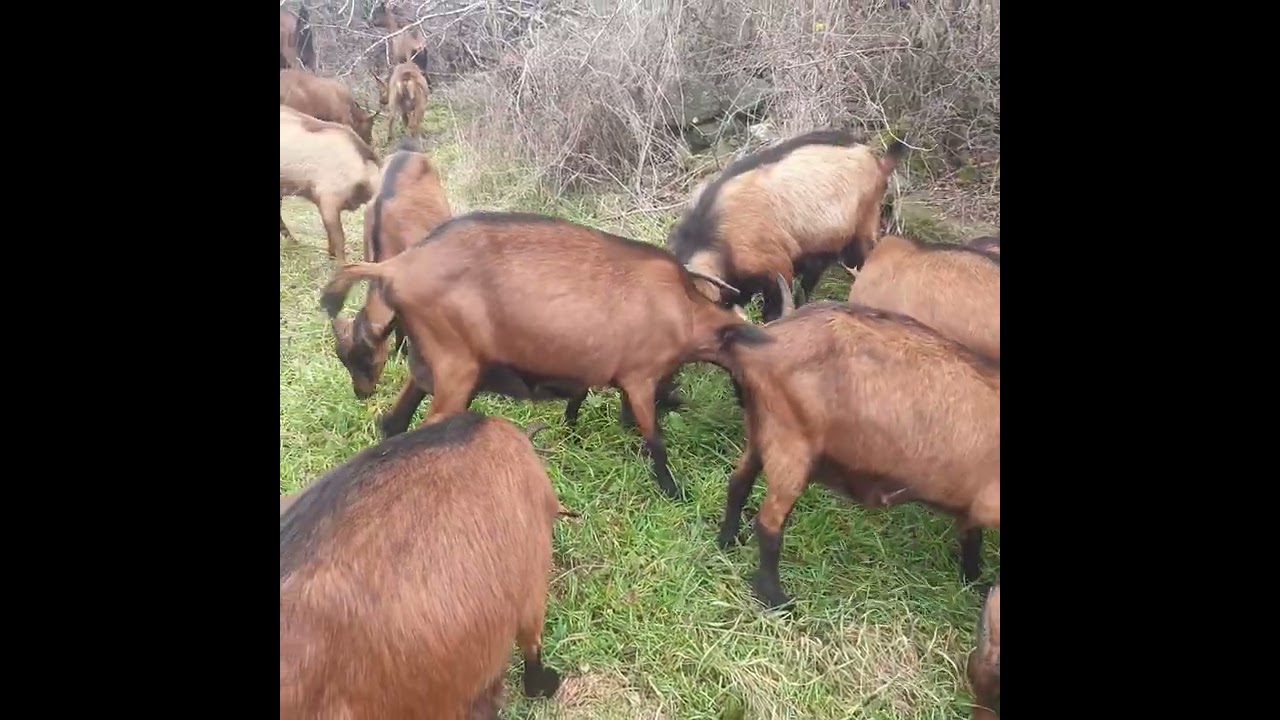 🌫🌫🌫🌫😍🍀☦