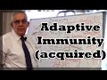 Adaptive Immunity Acquired 