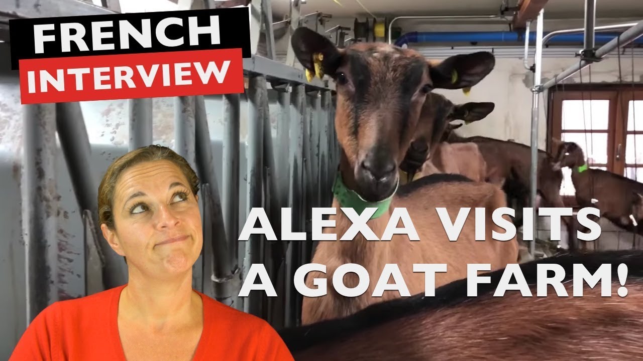 Alexa visits a French Goat Farm !