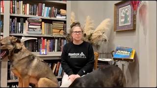 Dog Trainers In Tulsa | “It Was So Easy"