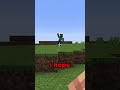 Most Scariest Things In Minecraft