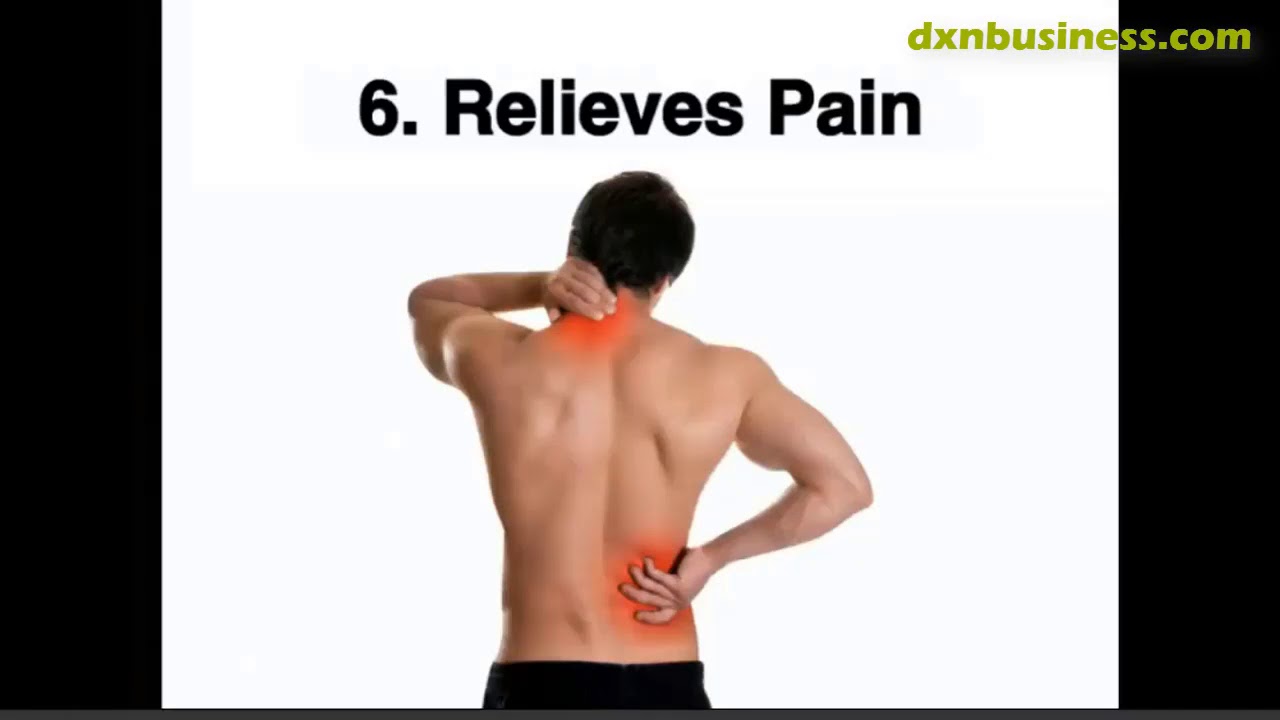 DXN NONIZHI IS A NATURAL PAIN KILLER (ENGLISH) | ANALGESIC EFFECT