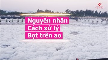 HanvetTV 🌊 Phân biệt và xử lý các loại bọt trên ao tôm