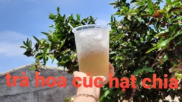 Cách nấu TRÀ HOA CÚC hạt chia giải khát mùa nắng nóng cho cả nhà- Út Bảy