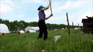 Début de la saison 2015 d'élevage biologique à la Ferme Saint-Vincent