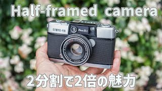 【作例あり】フィルムカメラ OLYMPUS PEN D3 ハーフカメラの使い方と魅力を紹介！ Half framed camera review　film camera