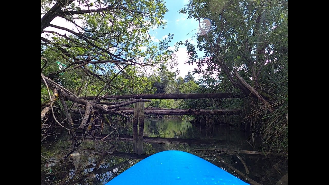 Die Würm - Entspannung und Natur