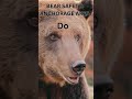 #Majestic Beasts of Alaska: Brown Bears and Kodiak Bears #wild #alaska #facts #shorts #brownbear
