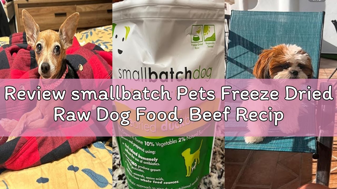 Review smallbatch Pets Freeze Dried Raw Dog Food, Beef Recipe, 25 oz, Organic High Protein Dog Food,