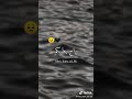 حبس حبس مساج خفيف حبس حبس مساج خفيف