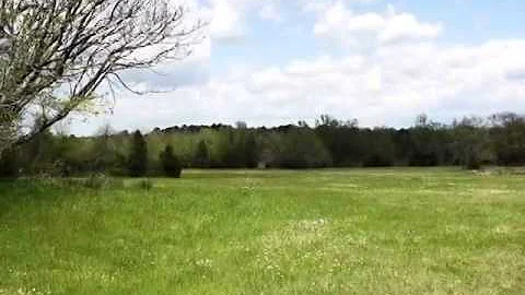 Homes for Sale - 00 County Road 1240 Mount Pleasan...