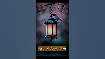 قران كريم #quran #دويتو #دعاء #duet #صباحالخير #تيك_توك #دعاءمستجاب #حالاتواتس #حالات_واتس #لايك