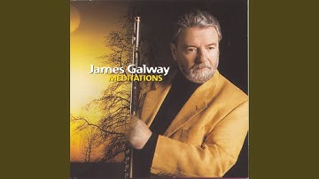 Flute Concerto in G Major, H.445, Wq. 169: II. Largo