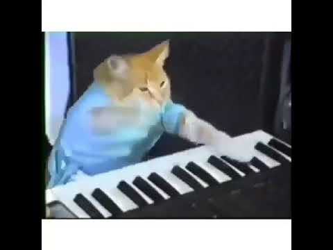 megalovania-keyboard-cat-meme-(stolen-from-instagram)