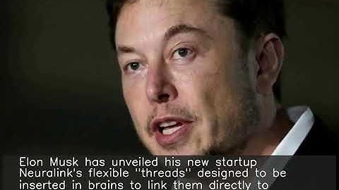 Musk