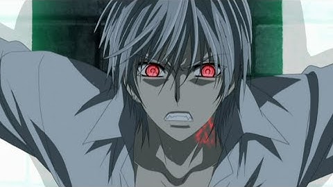 Vampire Knight AMV Zero