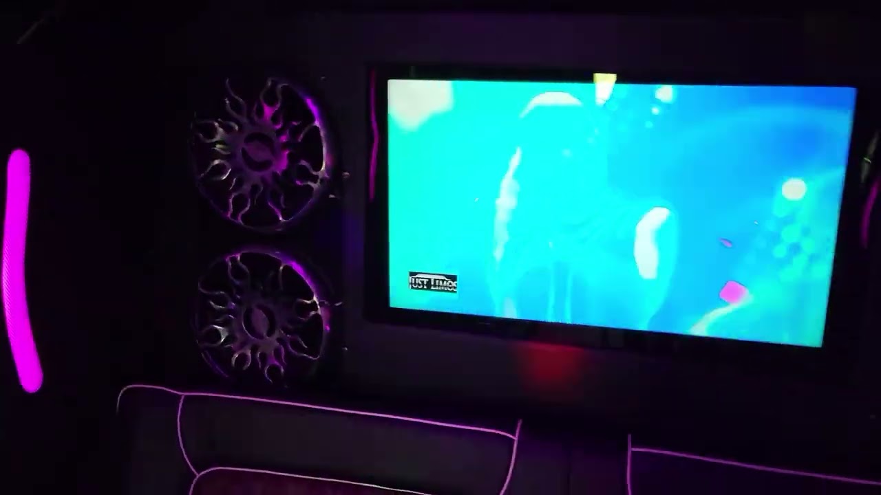 20–22 Pax Blizzard Party Bus — video tour