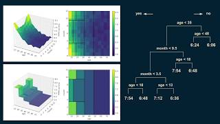 How decision trees work