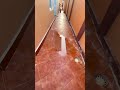 hydrochloric acid for 🧼 cleaning 🧹 #channel #shortsfeed