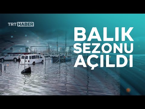 Video: Louisiana İris Bilgileri: Bahçelerde Louisiana Süsenleri Yetiştirme İpuçları