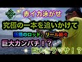 赤イカ泳がせ釣り2021Part2。究極の一本を追いかけて。銭洲カンパチを狙う。@とび島丸