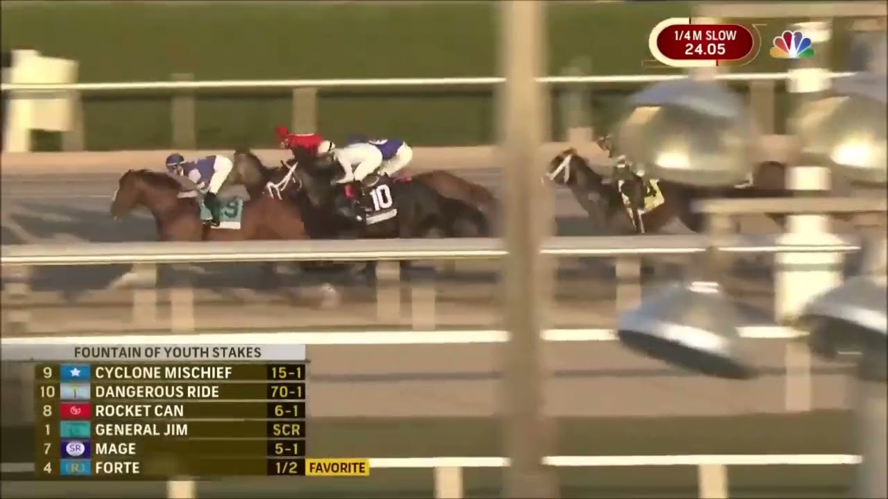 2023 Fountain of Youth Stakes (Forte)