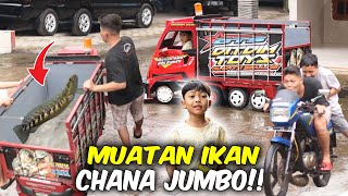 TRUK DIMAS MUATAN CHANA!! BAK TRUK DITDIM JADI KOLAM CHANA AYAH