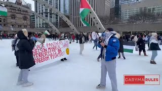 CAUGHT ON CAMERA: Pro-Palestinian protesters crash skating party