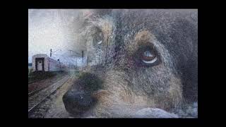 Бездомный Пёс / Homeless Dog / Bezdomny Pies (Instrumental Remix)