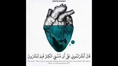 القارئ هزاع البلوشي