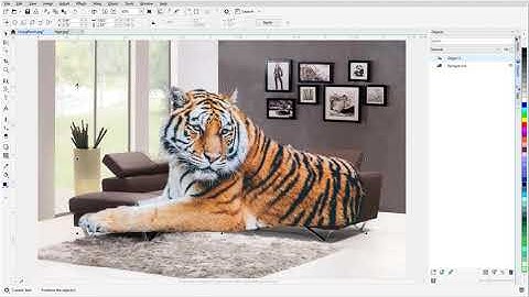 Photo Background Removal in PHOTO-PAINT (Windows)