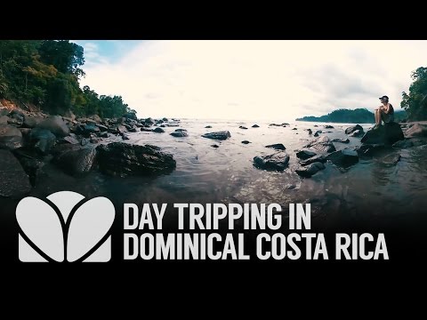 Video: 360 Dnevno Spopadanje V Dominical, Kostarika - Matador Network