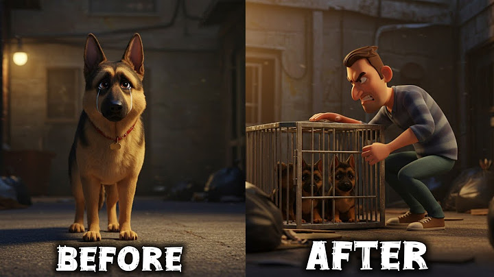 Stray Dog why is being born so painful