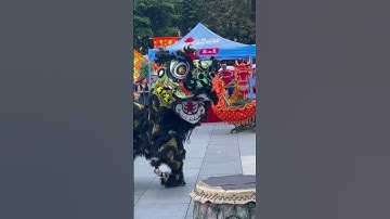 #liondance #barongsaiimlek #chinesenewyear #barongsai #tiktok #dance #love #fursuit #funny #like