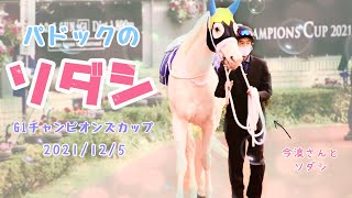 【パドックでのソダシ】G1チャンピオンズカップ　2021年12月5日　中京競馬場撮影