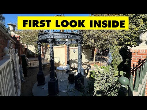 FIRST LOOK at
