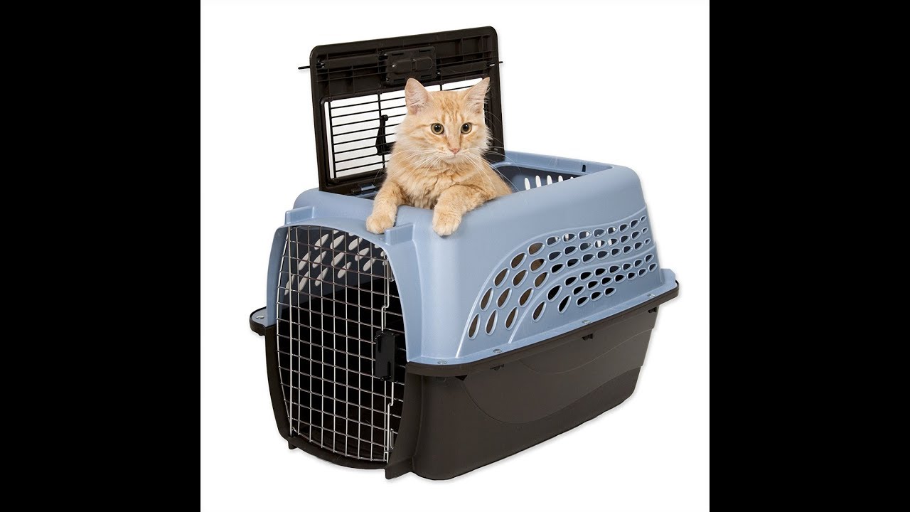 Self pet none. Переноска Petmate two Door Top load. Товары для животных. Cat Carrier. Brother CATDOG переноска.