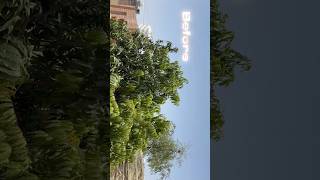 Capcut cinematic video editing 🎥 #capcut #capcutediting #colorgrading #shortvideo #viralvideo