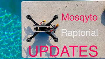 Anomaly Drones Mosqyto Raptorial - Update