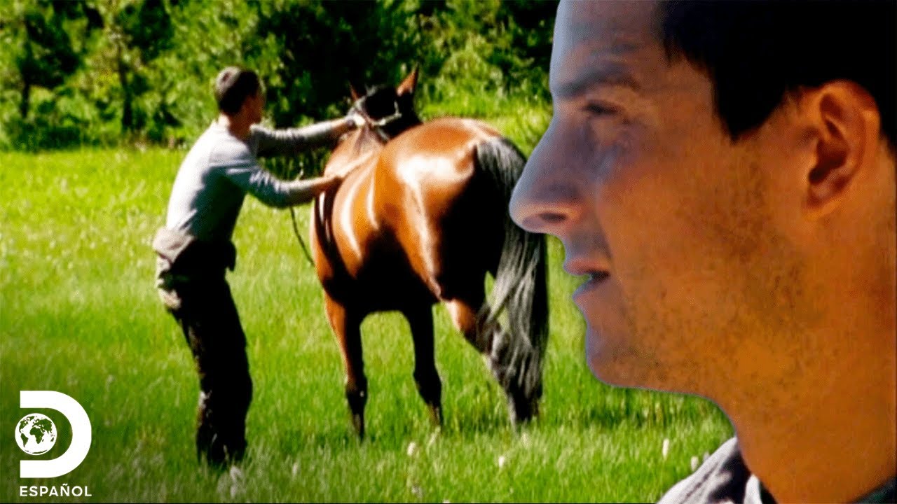 Bear Grylls intenta montar un caballo salvaje en la Sierra Nevada | A Prueba De Todo
