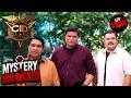 पुरानी हवेली की तस्वीरों ने क्यों चौंका दिया Team CID को? | CID | New Season | Mystery Unlocked
