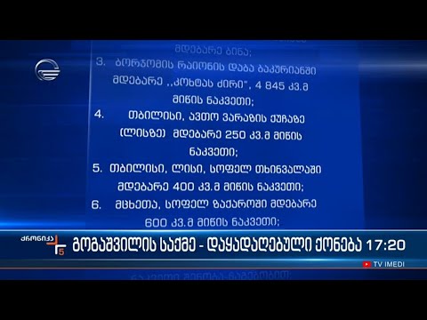 გოგაშვილის ქონების არასრული ჩამონათვალი რომელიც დააყადაღეს
