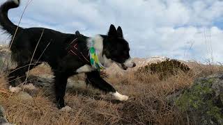 Download Lagu Quarzina gita alla chiesa di san Giovanni Battista MP3